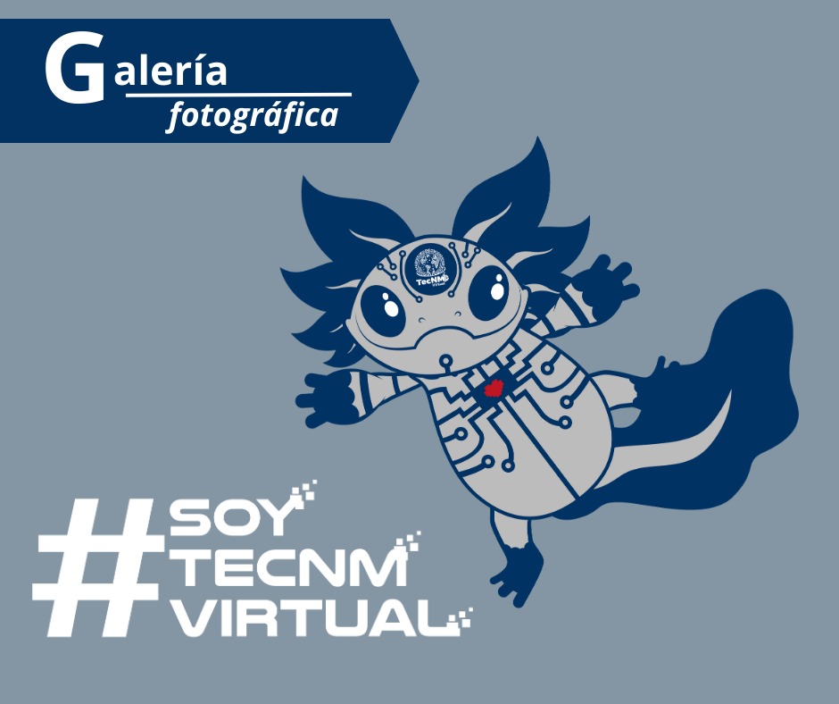 Galeria Fotográfica